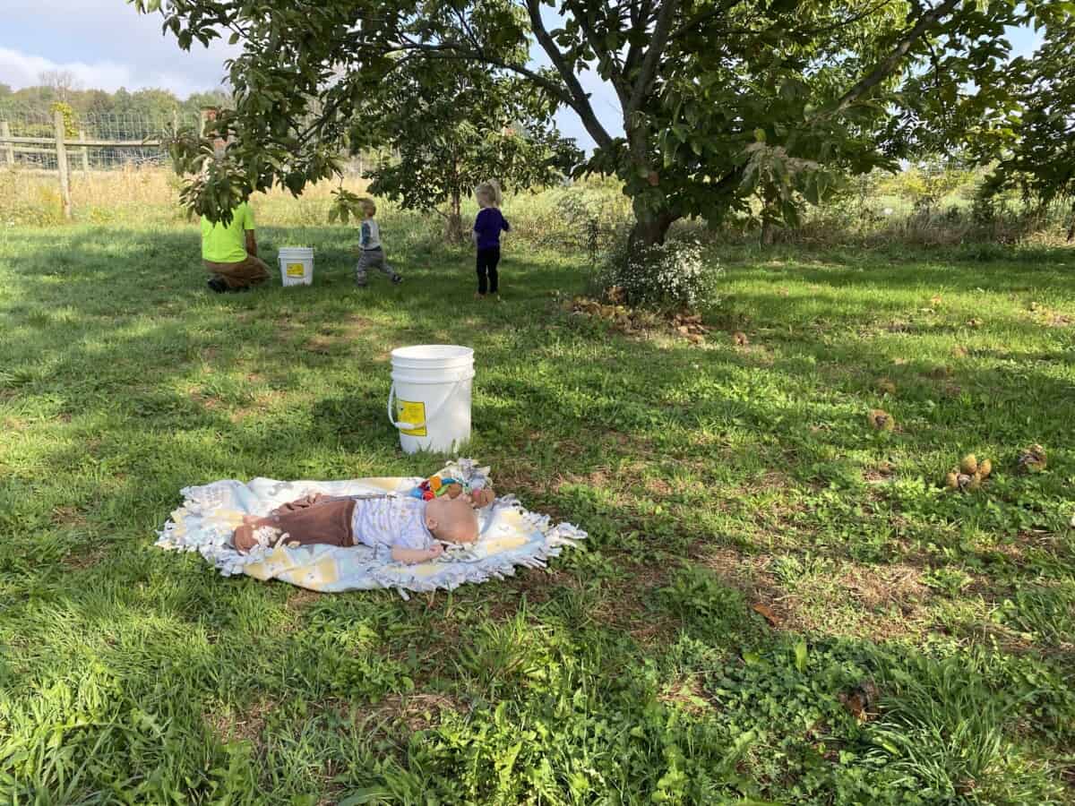 Are cloth diapers actually better for the environment? Cloth diapers united